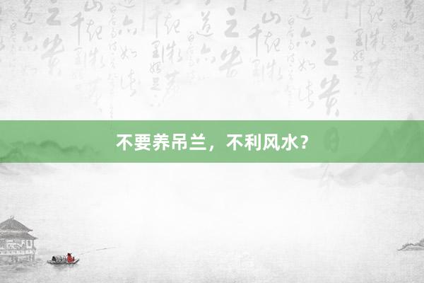 不要养吊兰，不利风水？