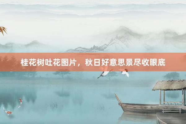 桂花树吐花图片，秋日好意思景尽收眼底