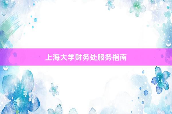 上海大学财务处服务指南