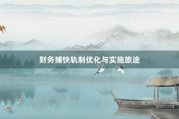 财务捕快轨制优化与实施旅途