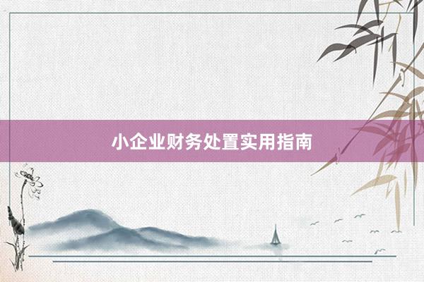小企业财务处置实用指南
